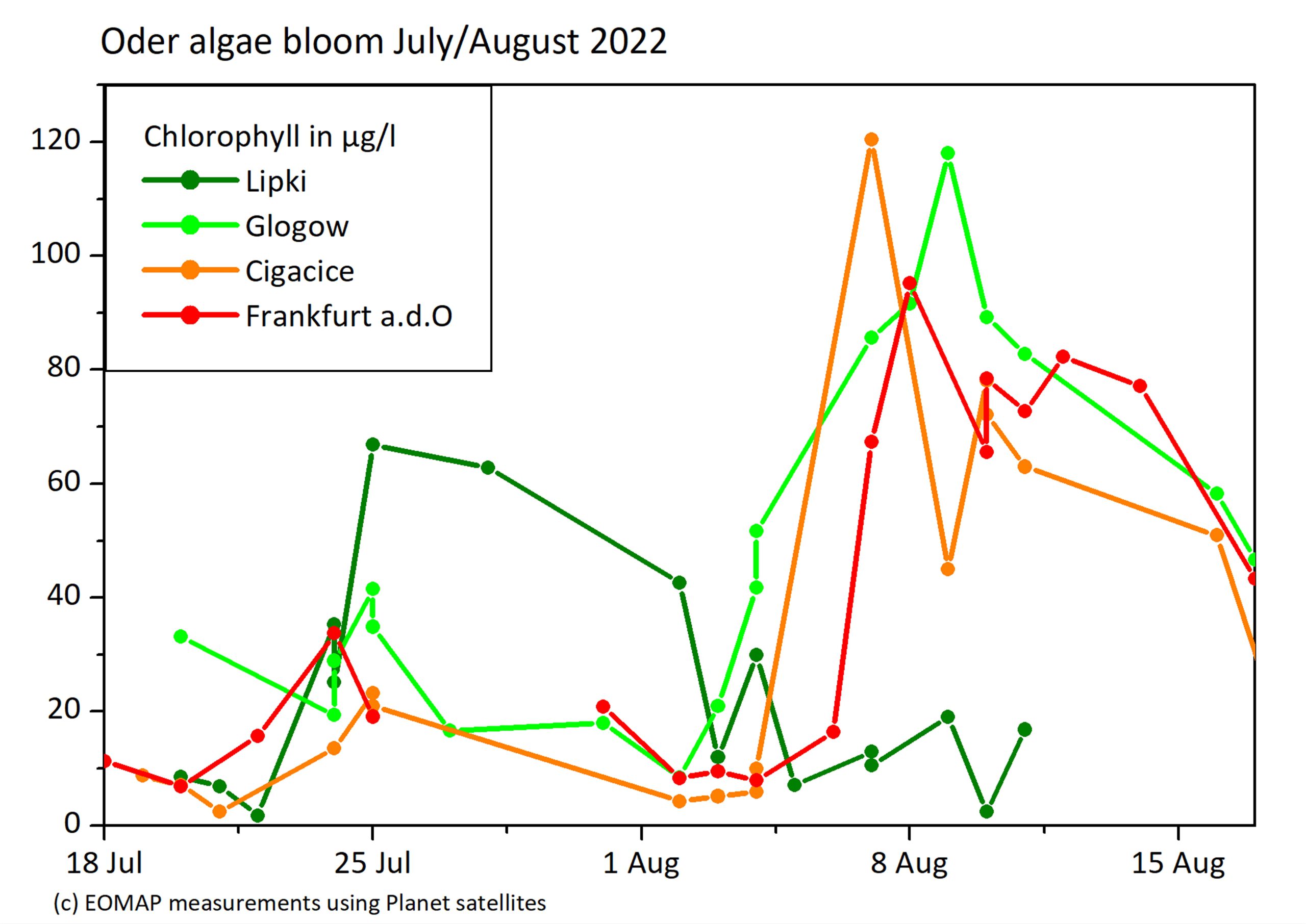 graph of chlorophyll in Oder River in August 22