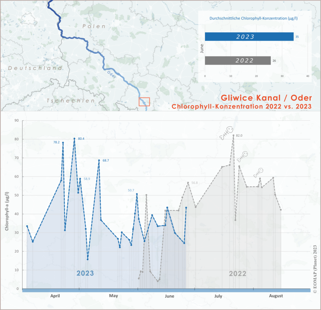 Graphic: Or near Gliwice - chlorophyll-a development 2022 versus 2023