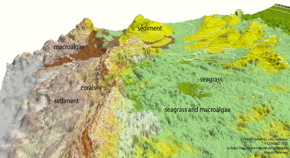 habitatmap3d_Mexico_Yucatan habitat map of Yucatan, Mexico c/EOMAP