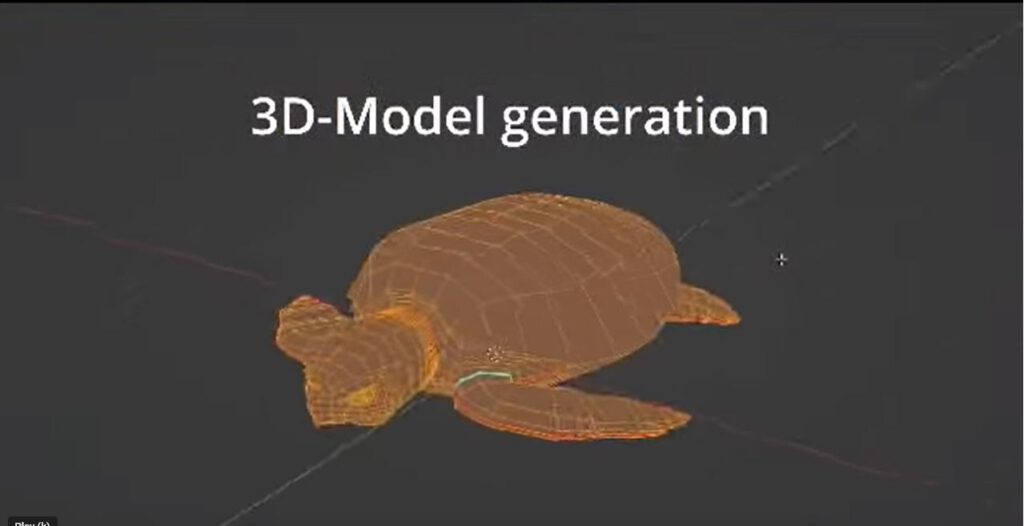 3D-model of a sea turtle